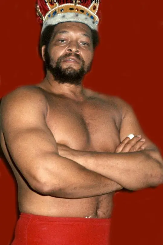 Ernie Ladd_peliplat