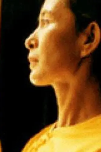 Aung San Suu Kyi_peliplat