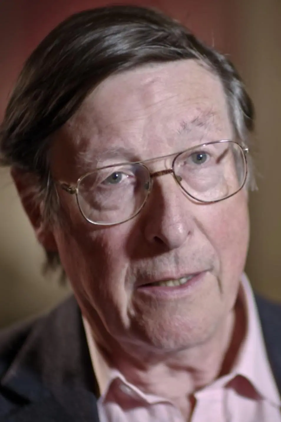 Max Hastings_peliplat