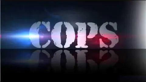 COPS Theme Song (TV Version)_peliplat