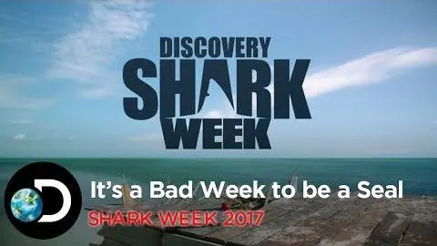 It's A Bad Week To Be A Seal | Shark Week 2017_peliplat