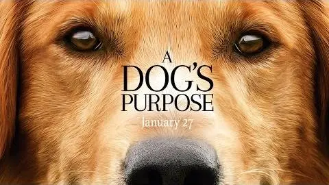 A Dog's Purpose - Official Trailer (HD)_peliplat