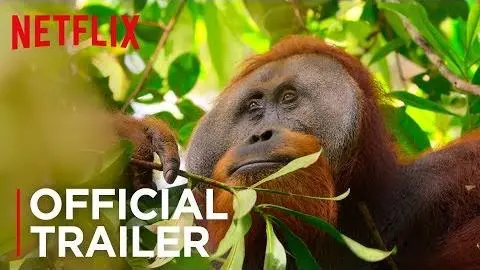 Our Planet | Official Teaser [HD] | Netflix_peliplat