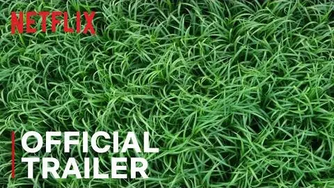 In the Tall Grass | Official Trailer | Netflix_peliplat