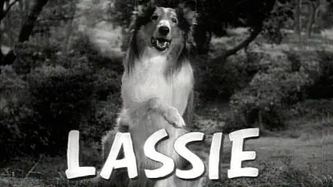 Lassie  1954 - 1973 Opening and Closing Theme (With the Lone Ranger Snippet)_peliplat