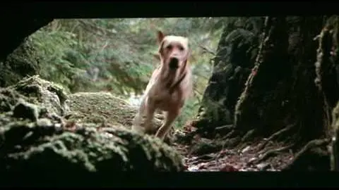 Far From Home: The Adventures of Yellow Dog (1995) theatrical trailer_peliplat