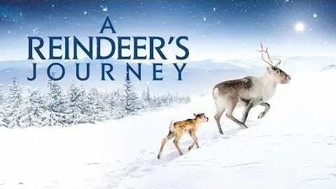 A Reindeer's Journey - Official Trailer_peliplat