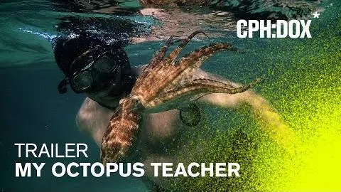 My Octopus Teacher Trailer | CPH:DOX 2020_peliplat