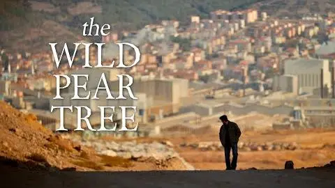 The Wild Pear Tree (official trailer)_peliplat
