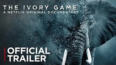 The Ivory Game | Official Trailer [HD] | Netflix_peliplat