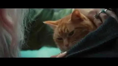 A Street Cat Named Bob - Stairwell Clip - At Cinemas November 4_peliplat