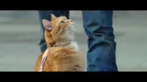 A Street Cat Named Bob - Getting the Punters In Clip - At Cinemas Now_peliplat