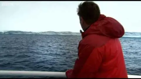 The team discovers polar bears - Operation Iceberg - Episode 2 - BBC Two_peliplat