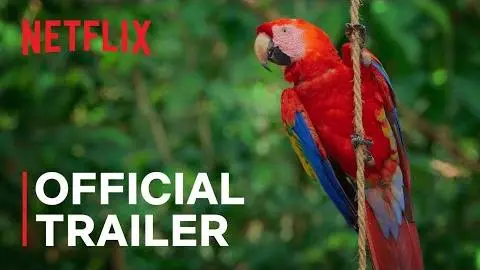 Life in Color with David Attenborough | Official Trailer | Netflix_peliplat