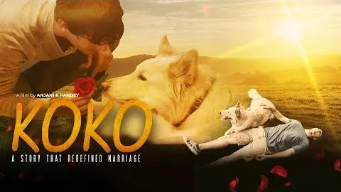 Koko - Trailer_peliplat