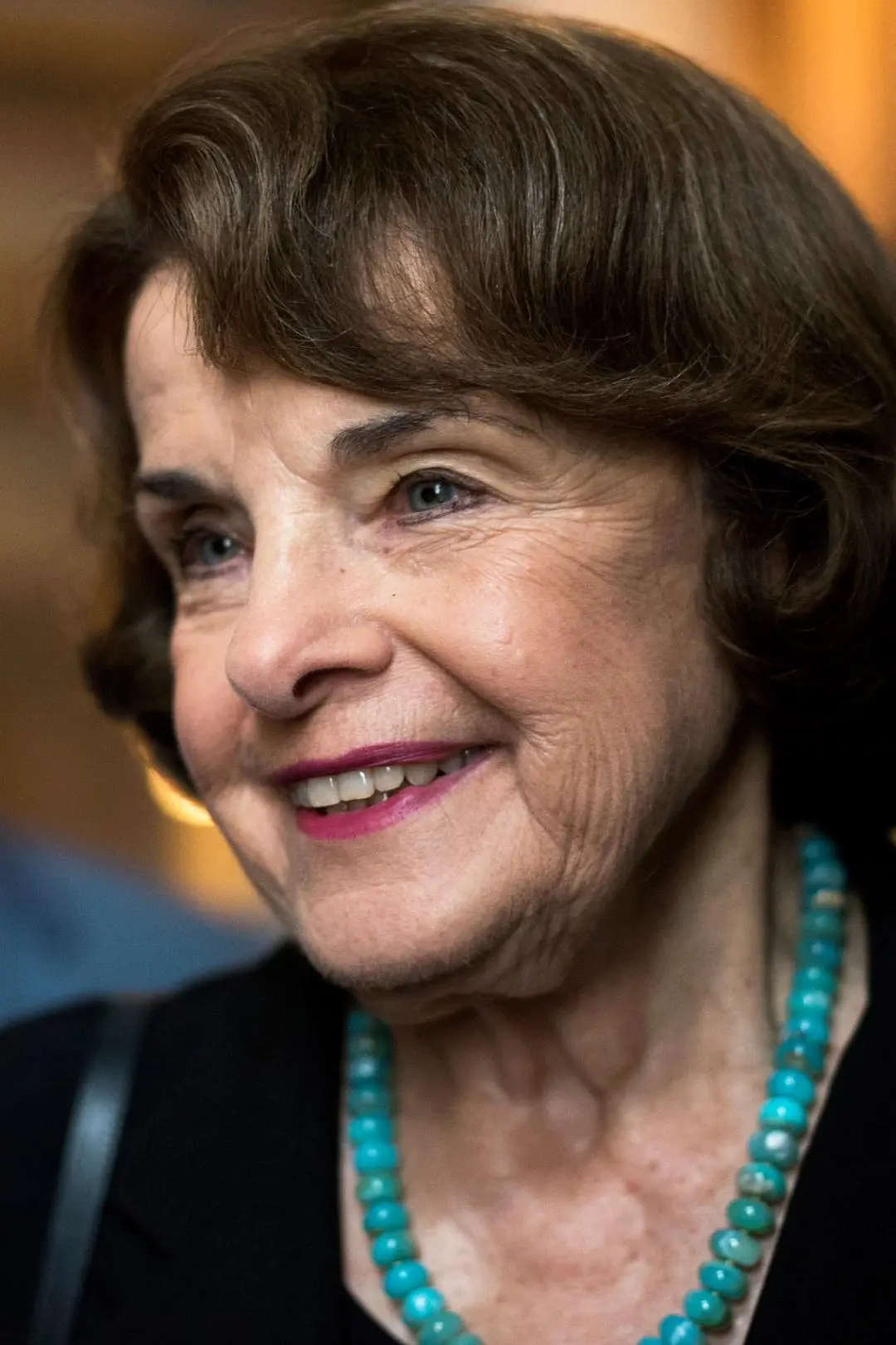 Dianne Feinstein_peliplat