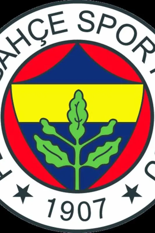 Fenerbahçe S.K._peliplat