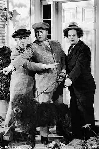 The Three Stooges_peliplat