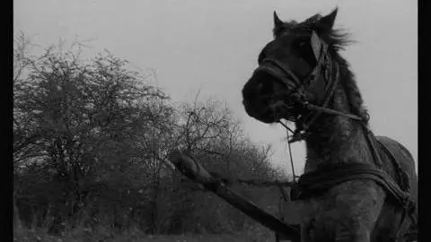 The Turin Horse Trailer_peliplat