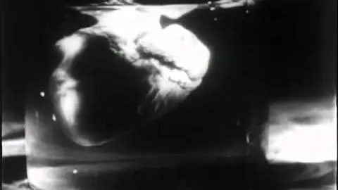 Maniac (1934) Trailer_peliplat