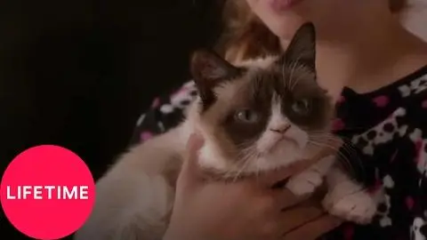 Grumpy Cat's Worst Christmas Ever | Lifetime_peliplat