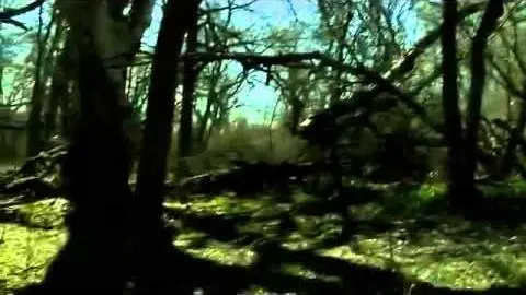 Hombre Y Tierra (The Woodsman) Found Footage Trailer_peliplat