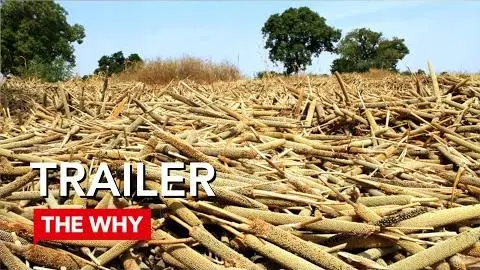 Land Rush - Why Poverty? Trailer_peliplat