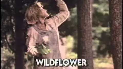 Wildflower 1991 Movie Trailer_peliplat