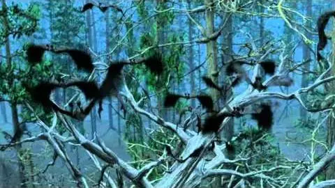 Bats: Human Harvest - Trailer_peliplat