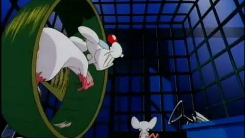 Pinky and The Brain Intro_peliplat