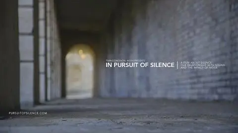 IN PURSUIT OF SILENCE Festival Trailer_peliplat