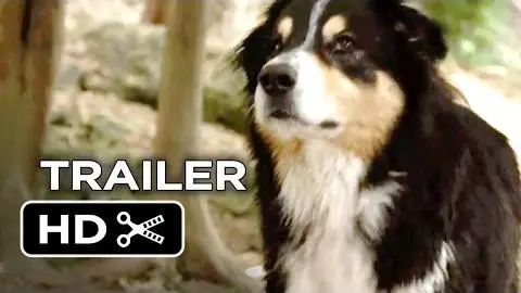 Bark Ranger Official Trailer 1 (2015) - John Lovitz Movie HD_peliplat
