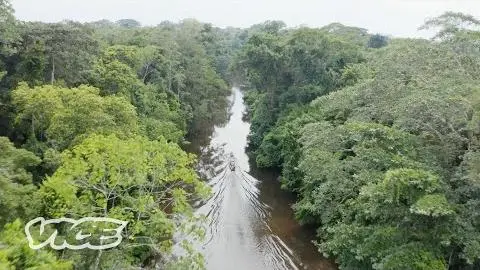Unknown Amazon (Trailer)_peliplat