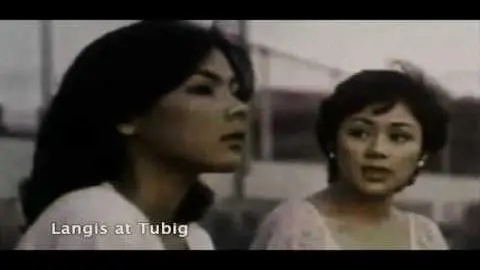 CLIPS - Langis at Tubig - Amy Austria and Vilma Santos_peliplat