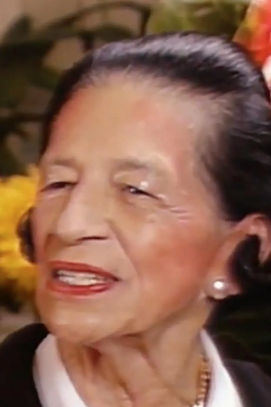 Diana Vreeland_peliplat