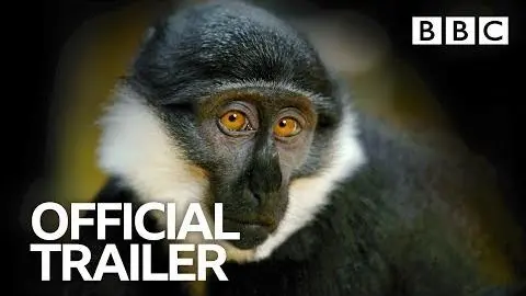 Primates: Trailer | BBC Trailers_peliplat