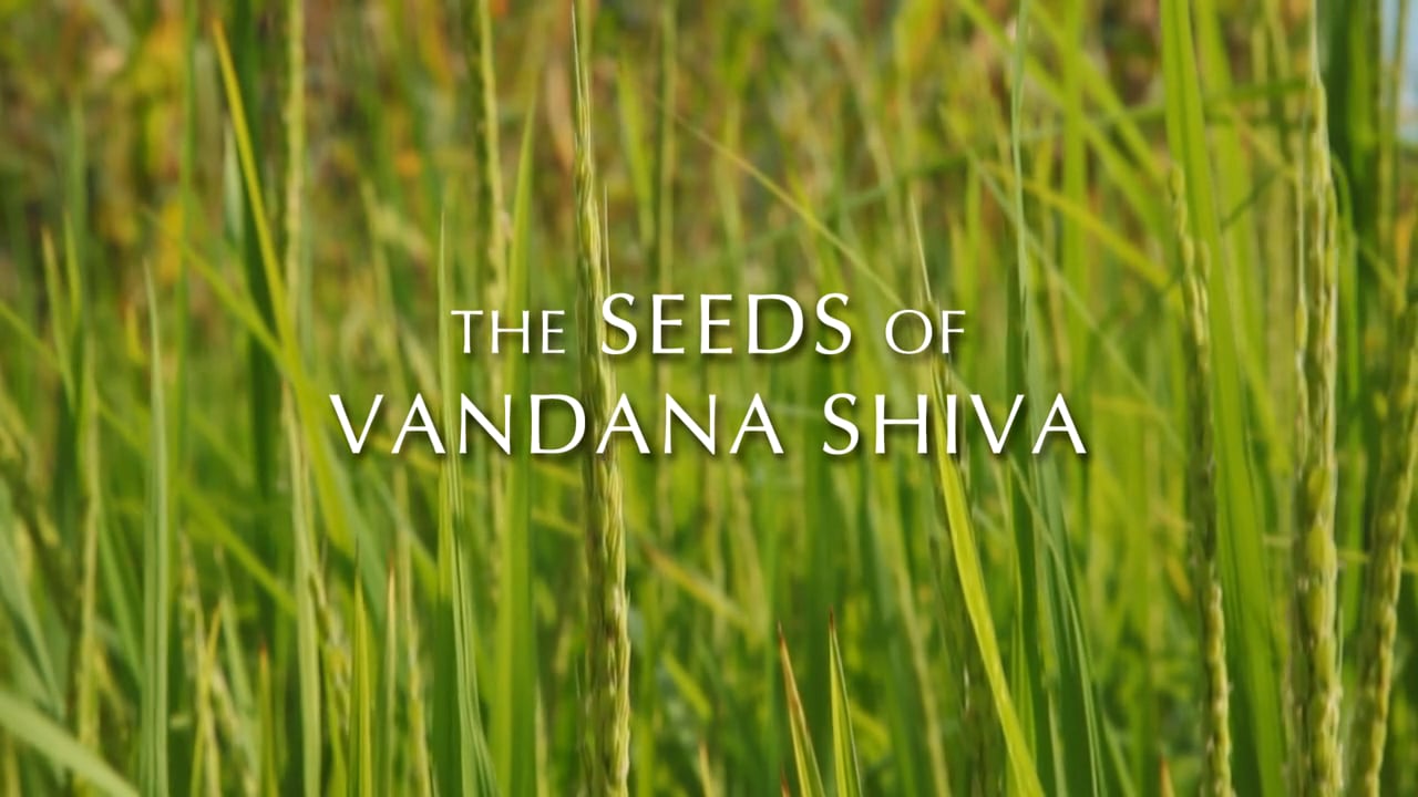 The Seeds of Vandana Shiva Sizzle Reel_peliplat