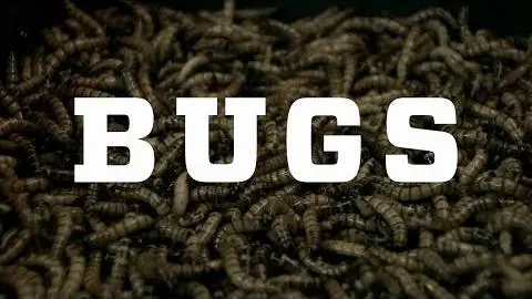 Bugs – Official Trailer_peliplat