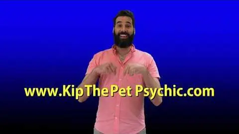 Kip the Pet Psychic commercial_peliplat