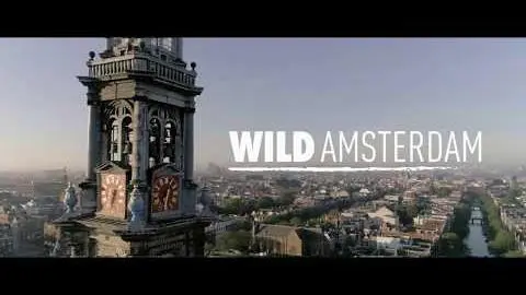 Wild Amsterdam - Official trailer with English subtitles_peliplat