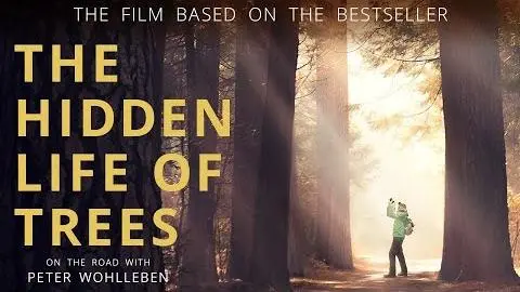 The Hidden Life of Trees - Official Movie Trailer (2021)_peliplat