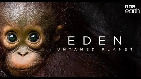 Trailer: «Eden: Untamed Planet»_peliplat