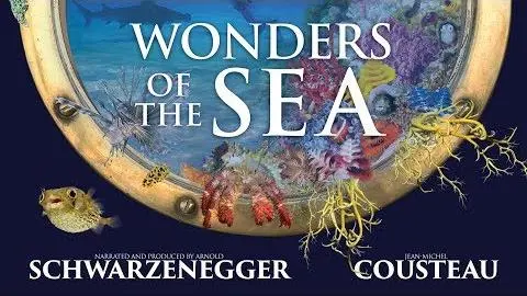 Wonders Of The Sea - Official Trailer_peliplat