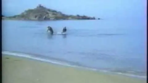 1973 Ghost In The Noonday Sun (filmed in Cyprus)_peliplat