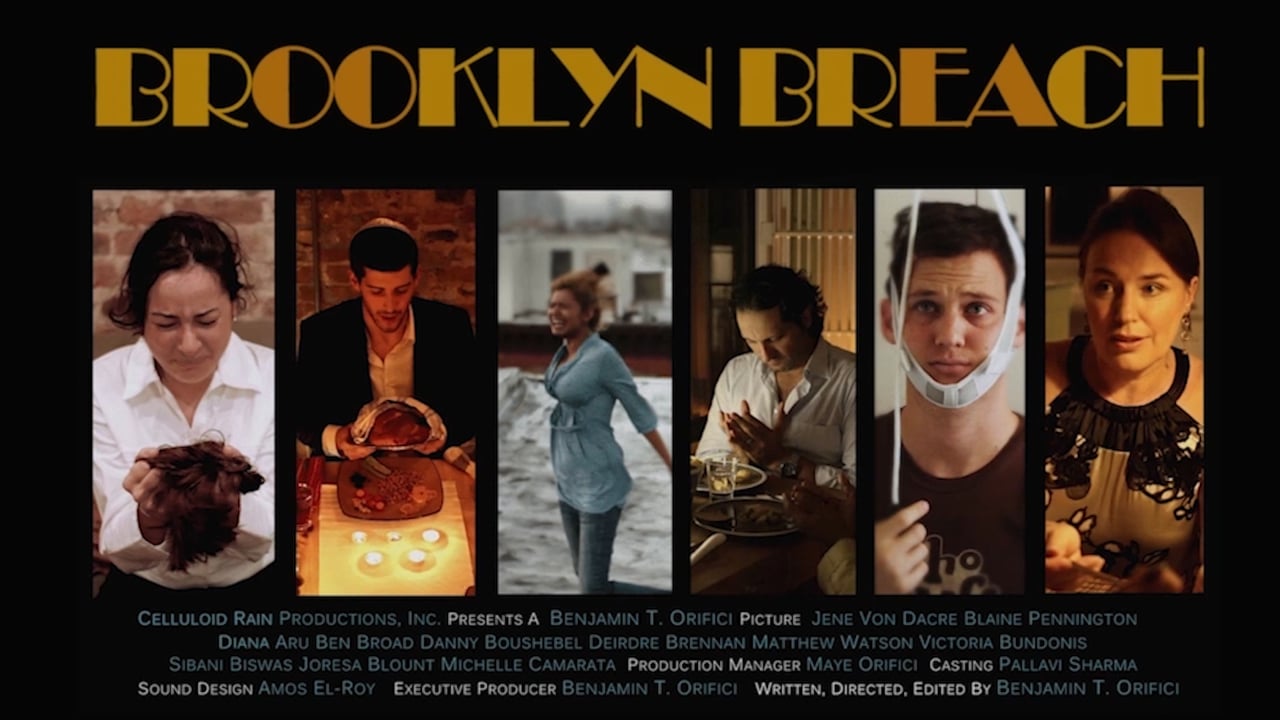 Brooklyn Breach - Trailer (2012)_peliplat