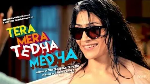 Tera Mera Tedha Medha - Official Trailer 2015_peliplat