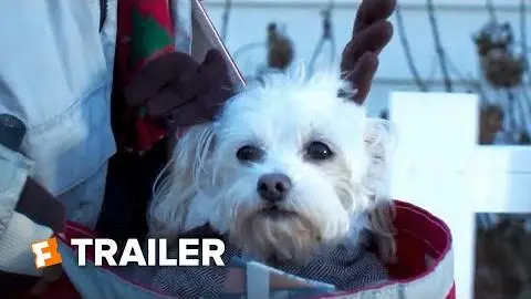 Charlie's Christmas Wish Trailer #1 (2020) | Fandango Family_peliplat