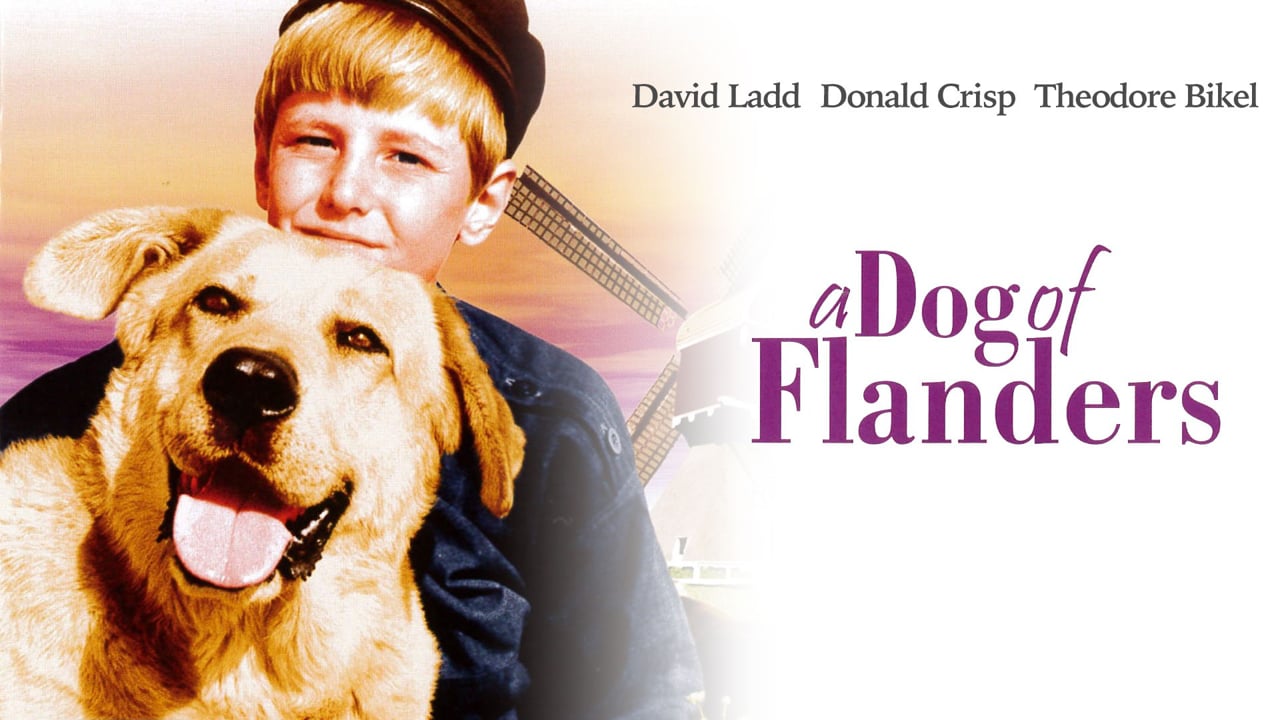 A DOG OF FLANDERS - Trailer_peliplat