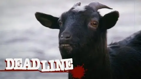Deadline Clip - Black goat_peliplat