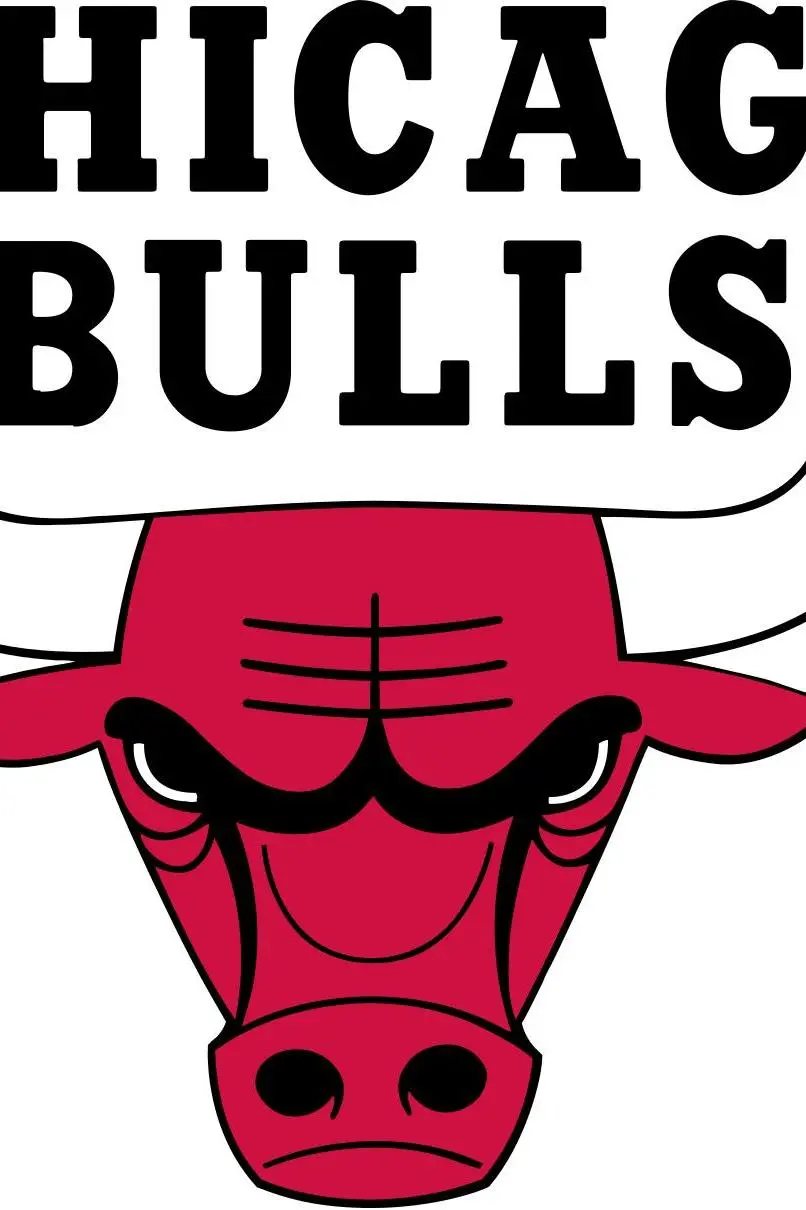 Chicago Bulls_peliplat